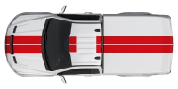 Photo 8 - Shelby F-150 Super Snake Sport 2026 3D Model
