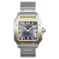 Photo Cartier Santos De Cartier Watch CRW2SA0030 4