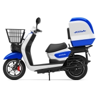 Photo Electric scooter AIMA Bird 7