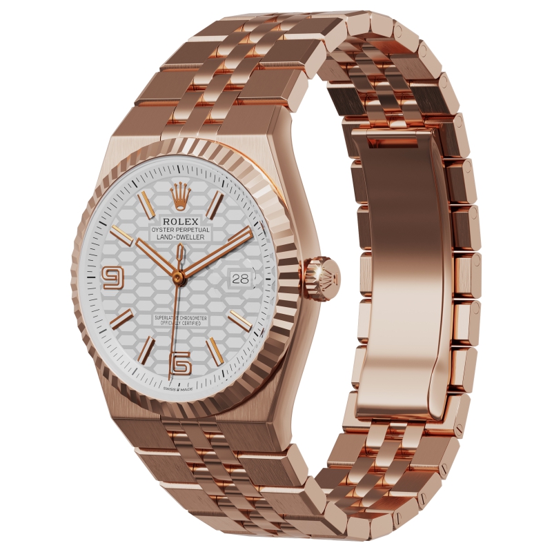 Photo Rolex Land-Dweller 127335