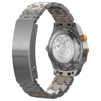 Photo Omega Seamaster Diver 300M gold on steel 3