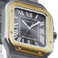 Photo Cartier Santos De Cartier Watch CRW2SA0030 3