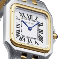 Photo Cartier Panthere de Cartier watch CRW2PN0019 4