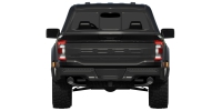 Photo Ford F-150 Raptor Regular cab 2022 8